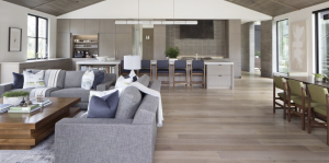 Modern home design showing elegant kitchen and living room